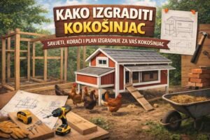 Kako izgraditi kokošinjac: Vodič korak po korak za sigurno okruženje